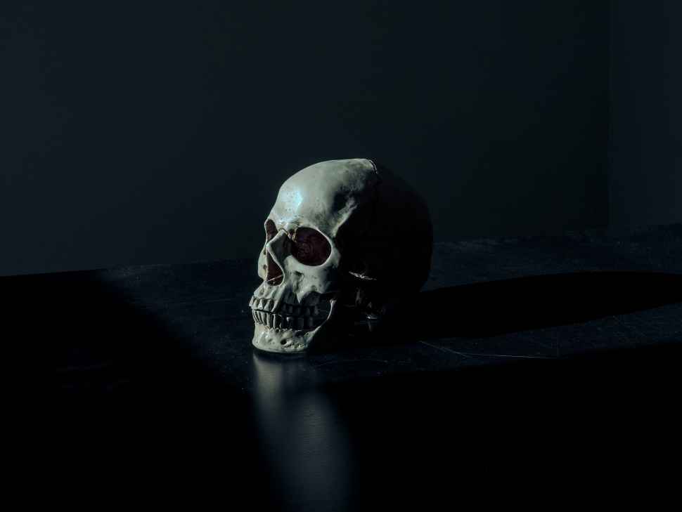 mathew-macquarrie-human-skull.jpg