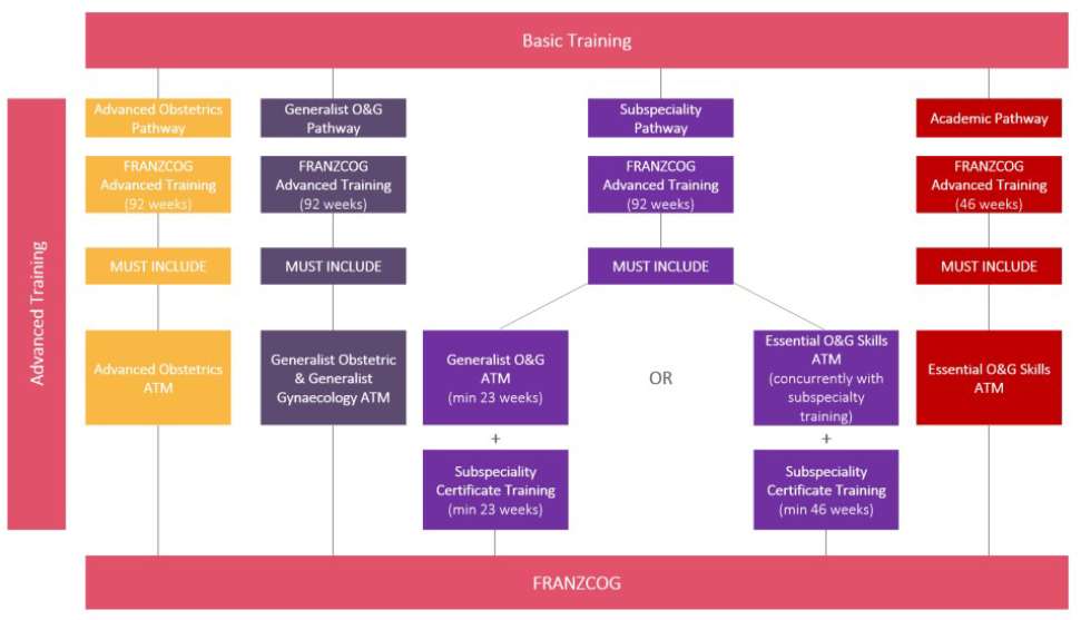 ranzcog-pathway-table.jpg