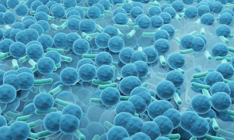 biofilm-alternate-hero.jpg