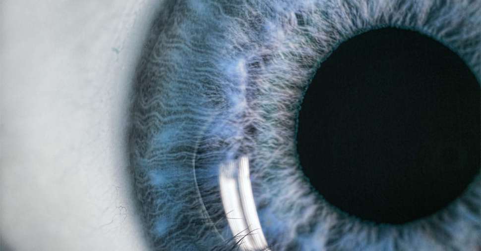 Eye for danger