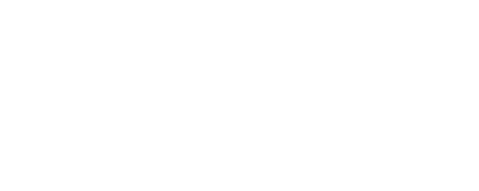 For fake's sake