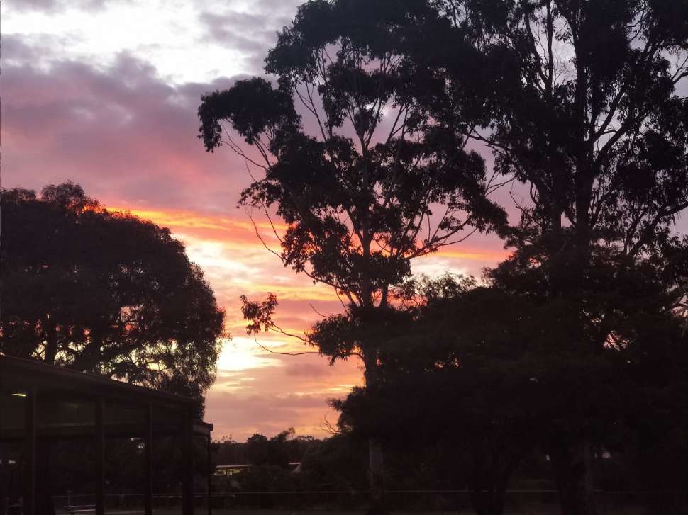 Aurora-Baxter-Reynella-East-College.jpg