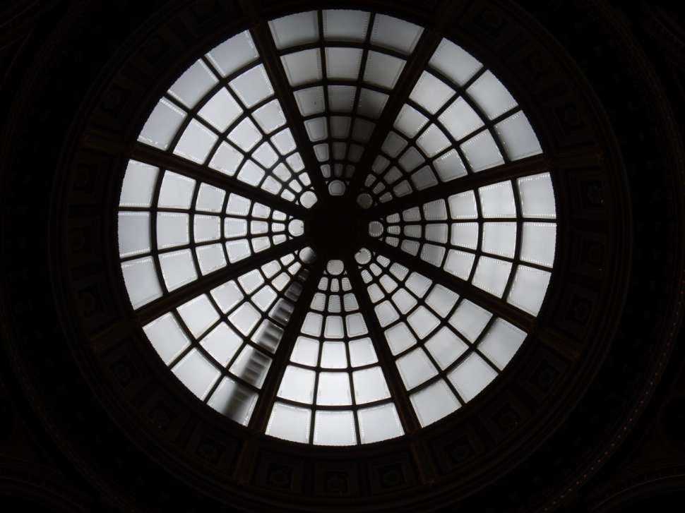 aurora_seal_loreto.jpg